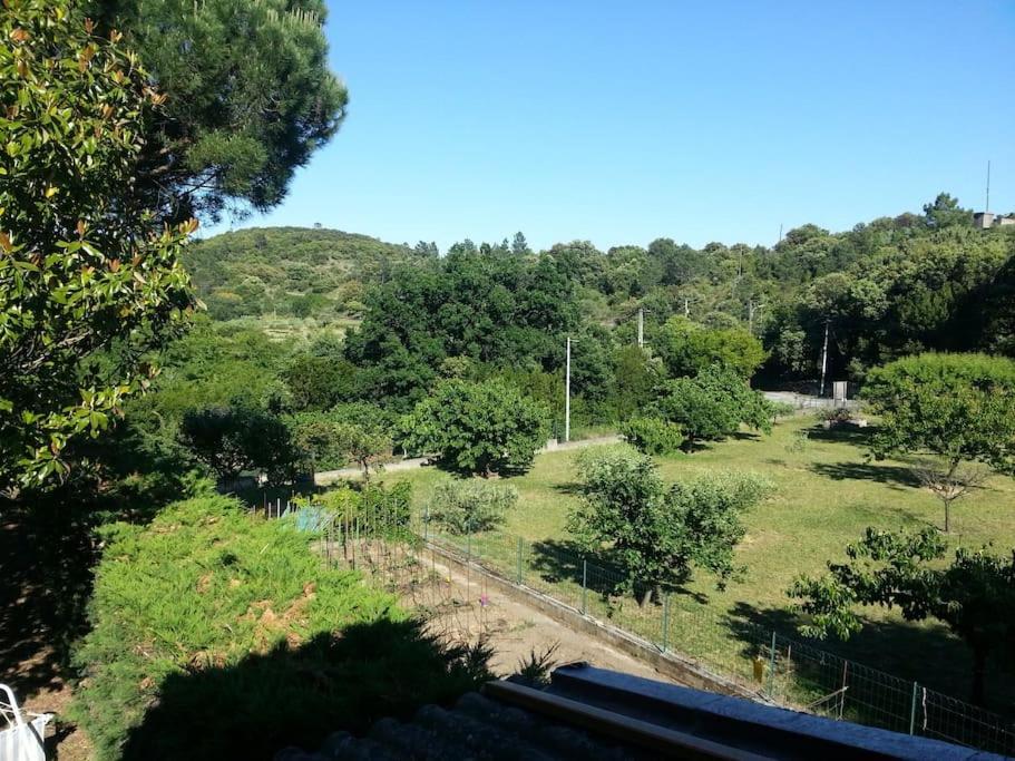 Appartement Au Fond Du Jardin Saint Jean du Pin Zewnętrze zdjęcie